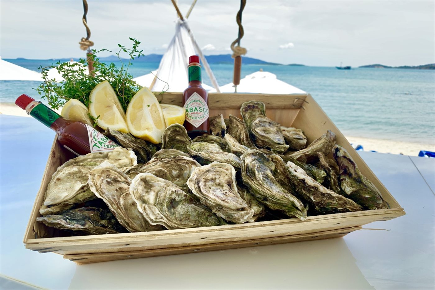Fresh oysters and wine